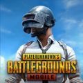 pubg国际服破解版